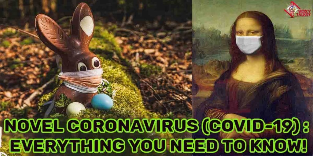 Novel Coronavirus (COVID-19) : Everything you need to know-VoxyTalksy