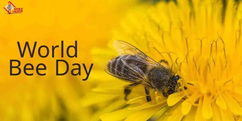 World Bee Day- Purpose, History, Slovenia,Importance, theme,save the bees-Voxytalksy